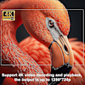 Miniatyrbilde 3 av 5: Projektor 4k Android 11 Dobbel Wifi6 200 Bt5.0 1080p 1280*720p