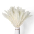 Pikkukuva 1 / 5: CASA 40kpl Luonnollisia Kuivattuja Valkoisia Pampasruohoja 45CM Muhkea ja Heiluva DIY Boho Kasvi Häihin Kukka A