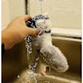 Miniatyrbild 4 av 5: Electronic Interactive Flying Bird Cat Toy Hanging Pet Teasing Fluttering Wings Sparrow