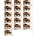 Miniatyrbillede 2 af 5: Farvede Linser – Dream Series – 12 Måneder – Ice Brown Ice Brown Ice Brown