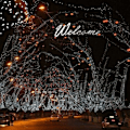 Miniatyrbilde 4 av 4: DPZO LED-lyslenke for eventyrdekorasjon til jul, hvit, 10M 100 LED-DPZO.ca
