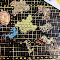 Miniatyrbillede 2 af 5: 2 ST Honningbi forme Støbeforme forme