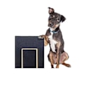 Miniatyrbilde 5 av 5: Bimirth Klorebrett for Hundeklør - Filtrimmerbrett Trimme Kloreboks Sandpapir Filskrape (ca)