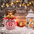 Miniatyrbilde 3 av 3: x Julklappsposer eplepose strikket godtepose jul