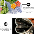 Miniatyrbild 5 av 5: 4-pack Transparent Växtform för Grönsaker och Frukter i Gurkform för Växtobservation
