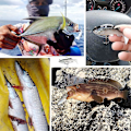 Miniatyrbillede 4 af 4: 5 stk. Sort Bas Fiske Lure Ørred Fiske Kit Gedde Fiske Grej Fiske Lure Sæt, Hav Og Ferskvands Fiske Agn Med Krog