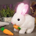 Pikkukuva 5 / 5: Bunby - Pupulelu, Pupulelu Lapsille - LGL carrot white with light