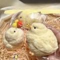 Miniatyrbild 1 av 5: Ny Handgjord Squishy Chickenhy Kyckling Squishy Leksaker Silikon LGL Large78cm