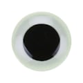 Pikkukuva 2 / 5: XIDIAOYU kalastusvieheen silmä 3D-simulaatio perhokalastus crank bait keinotekoinen kalan silmä LGL Q QT103D5 5mm154pcs