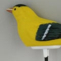 Miniatyrbild 2 av 5: Jordfuktighetsmätare Vattningslarm Fågel Växt Vatten Testare Hygrometer Sensor Trädgårdssats För Planteringskärl Vatten Påminnelse Varning Varning (gul) Yellow