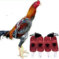 Miniatyrbillede 4 af 5: 4 Stykker Hane Vante Para Gallos Høne Hjelm Kamp Beskyttelse Husdyr Haner Hønsegårds Tilbehør (Farve : 4 stk) (LGL)