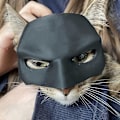 Pikkukuva 3 / 5: Halloween-aiheinen söpö lemmikkieläinten asu, lepakko-kissan naamio, cosplay-asu, uusi tyylikäs sankari pelastaa maailmat, juhliin