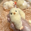 Miniatyrbild 5 av 5: Ny Handgjord Squishy Chickenhy Kyckling Squishy Leksaker Silikon LGL small56cm