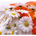Miniatyrbillede 2 af 5: 100x Hvide Kunstige Tusindfryd Stof Blomsterhoveder til Håndværk Bordpynt Konfetti til Fest Bryllup Scrapbooking Tilbehør (LGL)
