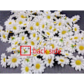 Miniatyrbillede 4 af 5: 100x Hvide Kunstige Tusindfryd Stof Blomsterhoveder til Håndværk Bordpynt Konfetti til Fest Bryllup Scrapbooking Tilbehør (LGL)