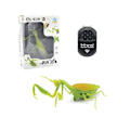 Miniatyrbild 1 av 5: Simuleringsinsekt Infraröd Fjärrkontroll Djurleksak RC Skorpion Spindel Nyckelpiga Barnpresent LGL Praying mantis