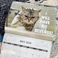 Miniatyrbild 2 av 4: 2025 Argig Kattkalender Kontorsdekoration Väggkalender (LGL)