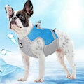 Miniatyrbild 4 av 5: Hundkläder Kylväst för Husdjur Snabbtorkande Hund Utomhus Sommarkläder Sele LGL Blue XL