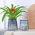 Miniatyrbild 2 av 11: Självabsorberande Blomkruka, Självvattnande Hydroponisk Kruka, Suckulent Gray L 1set