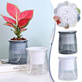 Miniatyrbild 6 av 11: Självabsorberande Blomkruka, Självvattnande Hydroponisk Kruka, Suckulent Transparent L 1set