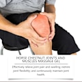 Miniatyrbild 7 av 11: Hästkastanj Gelen för Leder & Muskler Massage 100g/3.53oz Smärtlindring G0O5