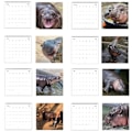 Miniatyrbild 8 av 11: Moo Deng Kalender, Roliga Hippo Väggkalendrar, 2025 Moo Kalendrar Deng 'AU.