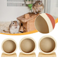Miniatyrbild 11 av 11: Hamster Trähjul Tyst Hjul Litet Djur Träningshjul Tillbehör D2U8 25cm 1pcs