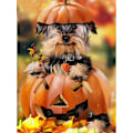 Miniatyrbild 1 av 5: 30x40 cm, pumpavalp 5d diamantmålad strassbroderi c