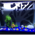 Miniatyrbillede 5 af 5: Sæt med 7 Akvariepynt, Spongebob Squarepants Akvarie Dekoration