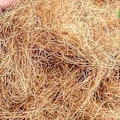 Miniatyrbild 2 av 4: Sharpie Nest-material, bomullsfibrer, 50 g