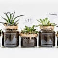 Miniatyrbild 4 av 5: 100 bitar växtetikett fröplanta etikett grönsaksträdgård plantering Vattentät utomhusplast, vit, 10x6 cm