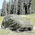 Miniatyrbillede 3 af 5: Camo Net Solskærm Kamouflage Net Persienner Terrasse Mesh Net Til Camping Skydning Jagt Desert 4m by 4m