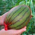 Miniatyrbilde 5 av 5: 100 stk 40cm Egg-salgs Emballasje Oppbevaringspose Handlepose Nettpose red