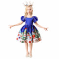 Miniatyrbilde 1 av 5: Princess Jentekjole for juleselskap og bursdagsfest blue 140