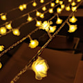 Miniatyrbild 1 av 5: Rose Lamp String Led Small Color Star Batterilåda 3M