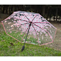 Miniatyrbild 7 av 8: Hyresbart Fällbart Parasoll Körsbärsblommor Transparent Parasoll Genomskinligt Regn Fällbart Parasoll för Kvinnor Barn Flickor Lätt Vindtåligt Kompakt Parasoll Pink