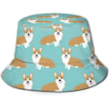 Pikkukuva 1 / 5: EN Auringonhattu Muoti Aurinkolippalakki Pakattava Ulkoilukalastajan Hattu Naisille Ja Miehille Corgi Puppy Dog Lover 6 One Size