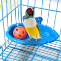 Miniatyrbild 5 av 8: Fågelbad för burfågel Vattenbehållare Undulat Badkar Fågelmatare Duschbricka Papegojor Badkar Undulatleksaker Tillbehör för små fåglar Para