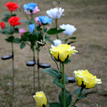 Miniatyrbilde 4 av 8: Solcelled Hagepynt, Solcelled Hagegaver, Utendørs LED Roselys for Hagedekorasjon Bakgård Patio Grav Kunstig Blomst Yellow