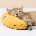 Pikkukuva 6 / 6: Tyyny kissoille | Pehmeä ja pörröinen lemmikin rauhoittava lelu | Catnip-tyyny Catnip-pehmolelu | U-muotoinen tyyny nukkumiseen, lepoon, leikkimiseen (keltainen) yellow