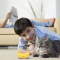 Miniatyrbild 7 av 7: Kattmyntaleksaker, 4 st kattmyntaleksaker för katter, kattleksaker för inomhuskatter, kattleksaker med kattmynta, katttuggleksak, banan kattmyntaleksak, kattkuddleksaker för tänder C