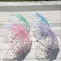 Miniatyrbillede 8 af 8: Leje af Foldbar Paraply Kirsebærblomster Klar Paraply Gennemsigtig Regn Foldbar Paraply til Kvinder Børn Piger Letvægts Vindtæt Kompakt Paraply Pink