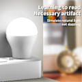 Miniatyrbilde 5 av 5: 2 stk. USB-plugglampe, datamaskin, mobil strømforsyning, USB-liten boklys, LED-øyevern, leselys, USB-liten nattlyspære