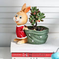 Miniatyrbillede 5 af 5: Praktiske og bærbare naturlige harpiks blomsterpotter, stue blomsterpotter-2