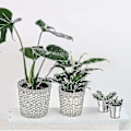 Miniatyrbillede 5 af 5: 20 stk. Mini Metal Spand Miniature Blomsterkrukke Vaser Plantekasser Smuk Æske Til Bryllupsfest