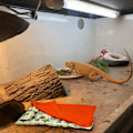 Miniatyrbild 3 av 5: Tillbehör Filt Kudde och Matta Sovsäck Leopard Gecko Säng Smådjur (Orange)