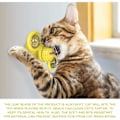 Miniatyrbild 5 av 5: Maskgodis för katt, hälsosamt tuggleksak för katt, stabil och rivbeständig, hållbar för kattcafé, djuraffär, för hemmet