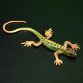 Miniatyrbilde 3 av 5: Kunstig øgle falmet levende fargerik reptil øgler leketøy festartikler（Grønn）