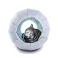 Miniatyrbild 3 av 5: Hopfällbar kattunnel leksak katt rör inomhus säng multifunktion (röd)