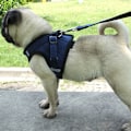 Pikkukuva 3 / 5: Koirajuoksuliivi, lemmikkikoiravaljaat, säädettävät koiravaljaat, pehmeä ilmaverkkovaljaat pienille koirille ja kissoille